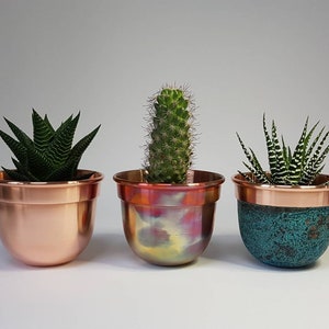 May include: Three copper plant pots with different finishes, each holding a different succulent plant. The pots are all the same size and shape, but have different colours and textures. The first pot is a plain copper colour, the second pot has a rainbow-like finish, and the third pot has a turquoise finish with a speckled texture.