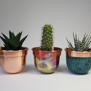 Può includere: Tre vasi di piante in rame con finiture diverse, ognuno con una pianta grassa diversa. I vasi sono tutti della stessa dimensione e forma, ma hanno colori e trame diverse. Il primo vaso è di colore rame semplice, il secondo vaso ha una finitura rame e giallo, e il terzo vaso ha una finitura rame e turchese.
