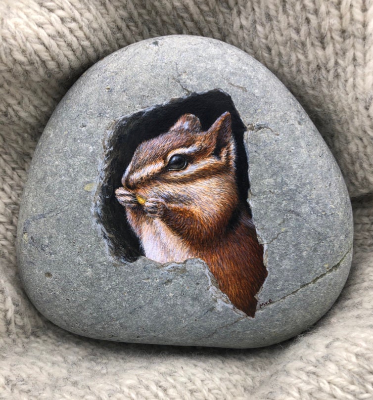 Rock Painting Course, Painting Lessons, How to Paint Rocks, Pebble