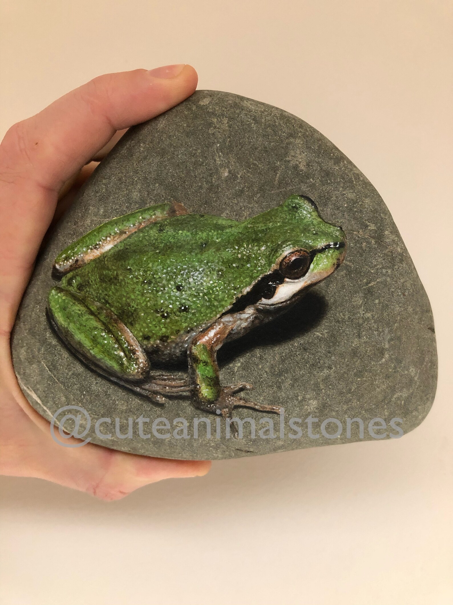 Painted stone frog Stone Painting Cute Animals Stone frog Etsy