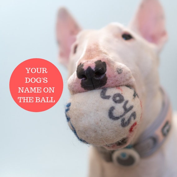 personalized pet toys
