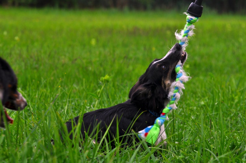 Tug of war RUBBER toy Unique dog gift Throw fetch pet chew toy Etsy