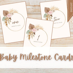 Cartes d'étape de bébé