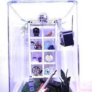 Jumper Spider Enclosure