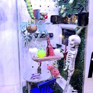 Jumper Spider Enclosure