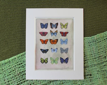 Green Butterflies, Butterflies, Butterfly, Green, Lycaenidae, Entomology, Print, Mounted Print, Painting, Home Decór, Wall Art, Artwork, Art