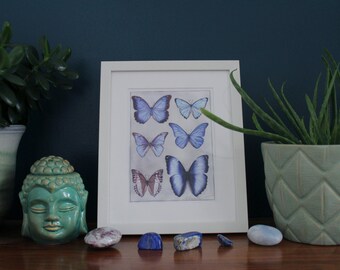 Blue Butterflies, Butterflies, Butterfly, Blue, Morphidae, Entomology, Mounted Painting, Mounted Print, Painting, Home Decór, Wall Art, Art