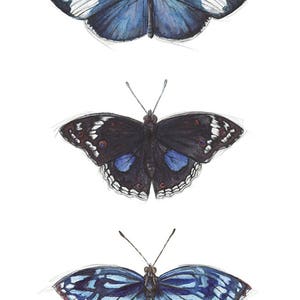 Blue Bookmark, butterfly, bookmark, illustrated bookmark, bookmark set, book lovers gift, birthday, gift, book merchandise, reading, books image 6