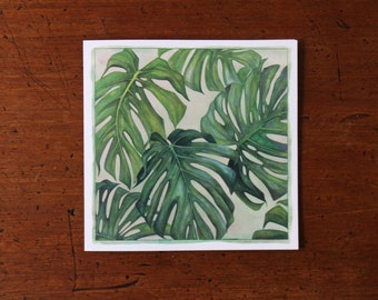 Monstera, Monstera Card, Birthday Card, Monstera deliciosa, Square, White Recycled, Greeting Card, Houseplant, Swiss Cheese Plant, Green