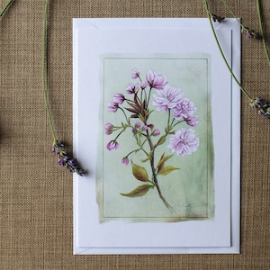Kanzan Blossom, A5, Bianco Riciclato, Biglietto d'auguri, Biglietto di compleanno, Biglietto Fiore, Sakura, Floreale, Fiori Rosa