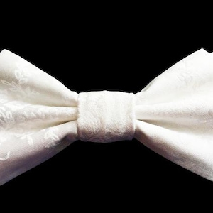 Bow Tie, Mens Bow Tie, Grooms Bow Tie, Brocade Bow Tie,Ring Bearer Bow Tie, Groomsmen Bow Tie, White Bow Tie, Groom Tie, Boys Bow Tie  DS777
