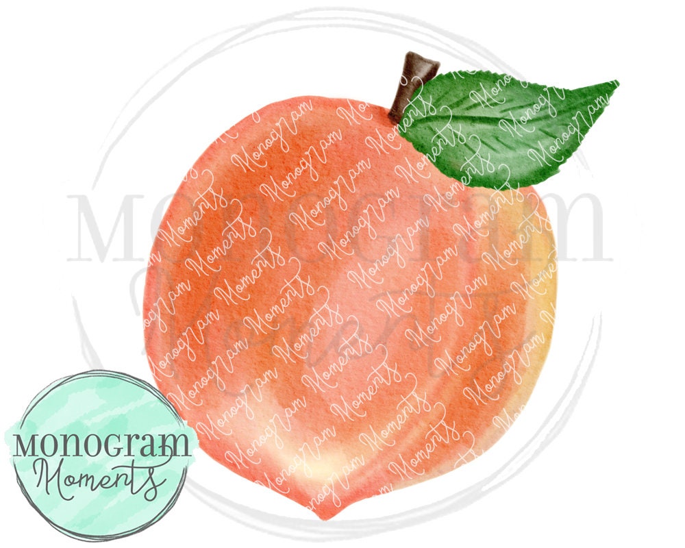 Watercolor Peach PNG Watercolor Peach Clipart for Digital | Etsy