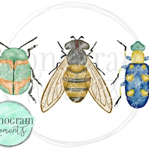 Watercolor Bugs PNG - Boy&#39;s Bug Trio for Digital Download, Sublimation, and Printables