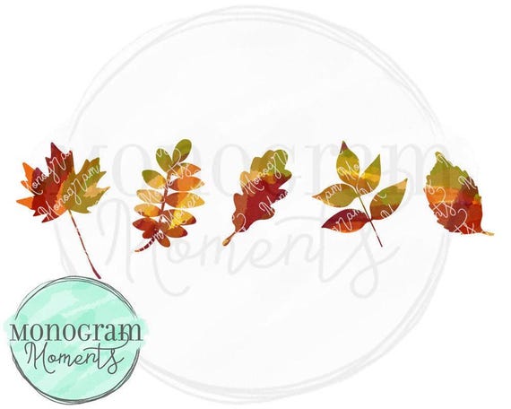 Watercolor Fall Leaves PNG - Fall Clipart for Digital Download, Sublimation, and Printables
