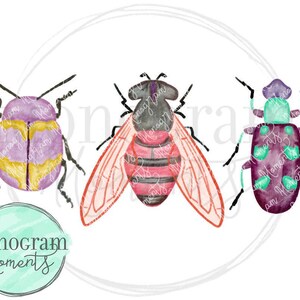Könnte beinhalten: Drei Aquarell-Illustrationen von Insekten. Ein lila und gelber Käfer, eine rot-schwarze Biene und ein lila und grüner Käfer.