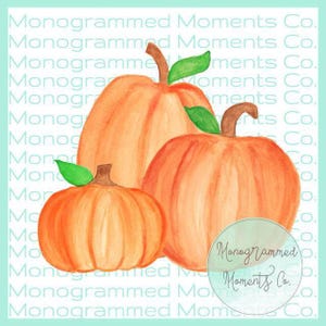 Pumpkin Patch Watercolor Clipart - Fall - Fall Watercolor - Watercolor - PNG - Digital Download - Printable Artwork Design
