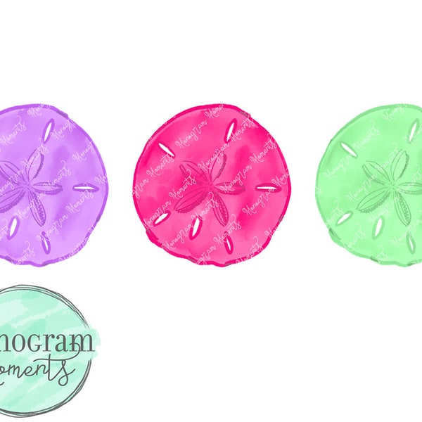 Watercolor Beach PNG -  Watercolor Sand Dollar Clipart for Digital Download, Sublimation, and Printables