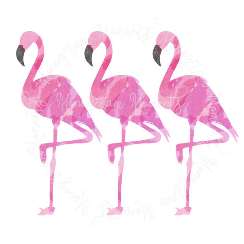Download Sublimation Summer Flamingo Clipart For Digital Download And Printables Watercolor Flamingo Png Clip Art Art Collectibles Vadel Com