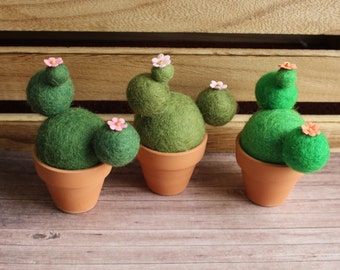 May include: Three handcrafted felt cactus plants in terracotta pots. The cacti are various shades of green, with small pink or orange flower accents. The background features a wooden crate and a wooden surface.
