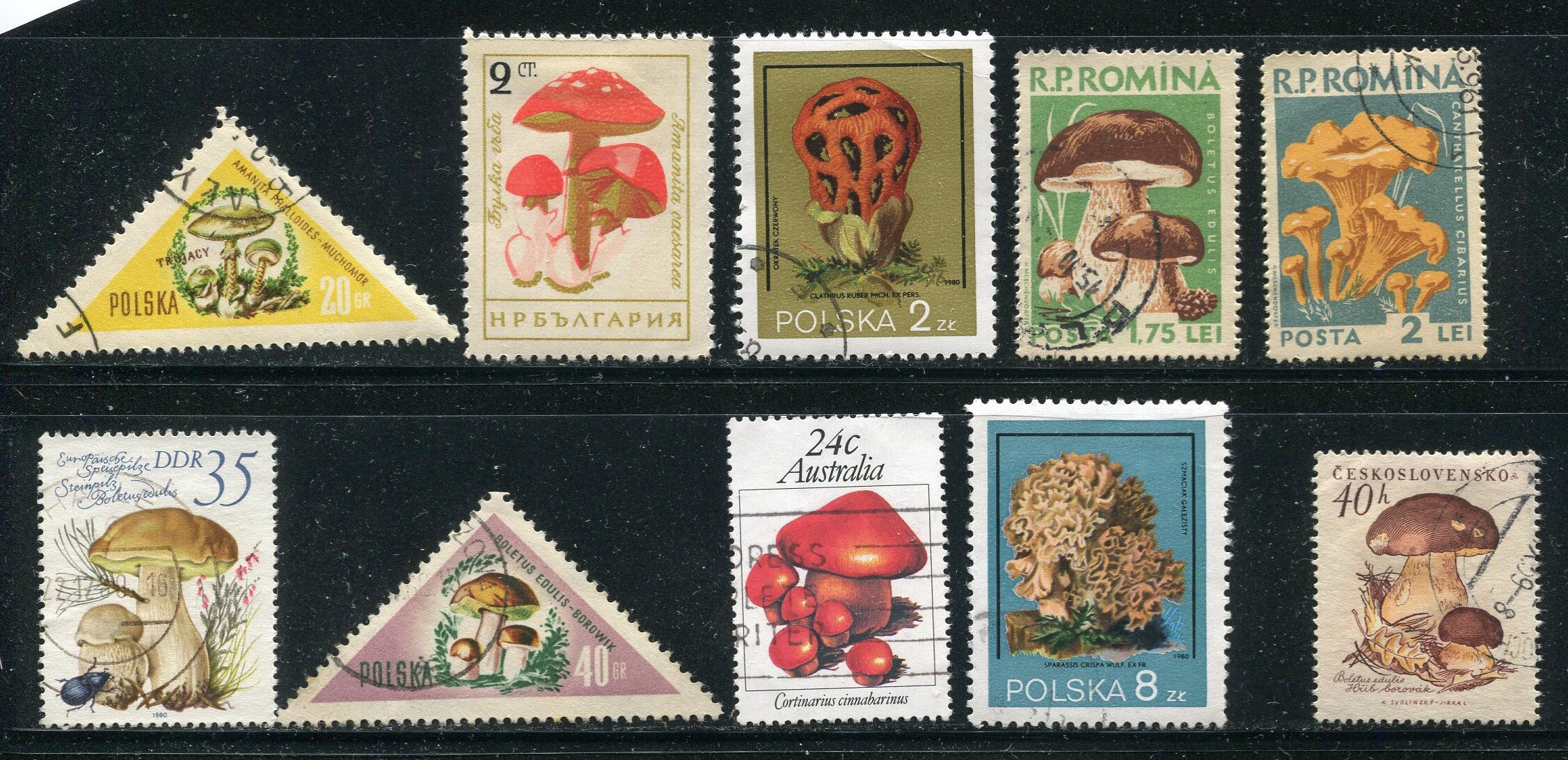 Mushroom Stamps World Wide/ 10 Used Mushroom Stamps/Vintage Etsy