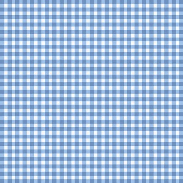 Beautiful Basics MAS610-B2 by Maywood Studio. Blue Gingham Check. Sold by the Half Yard.