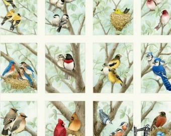 Beaux Oiseaux 4309CRÈME par Elizabeth's Studio. Cardinaux, Bluebirds, Robins, etc. Vendus en tant que panneau. (#112). MW