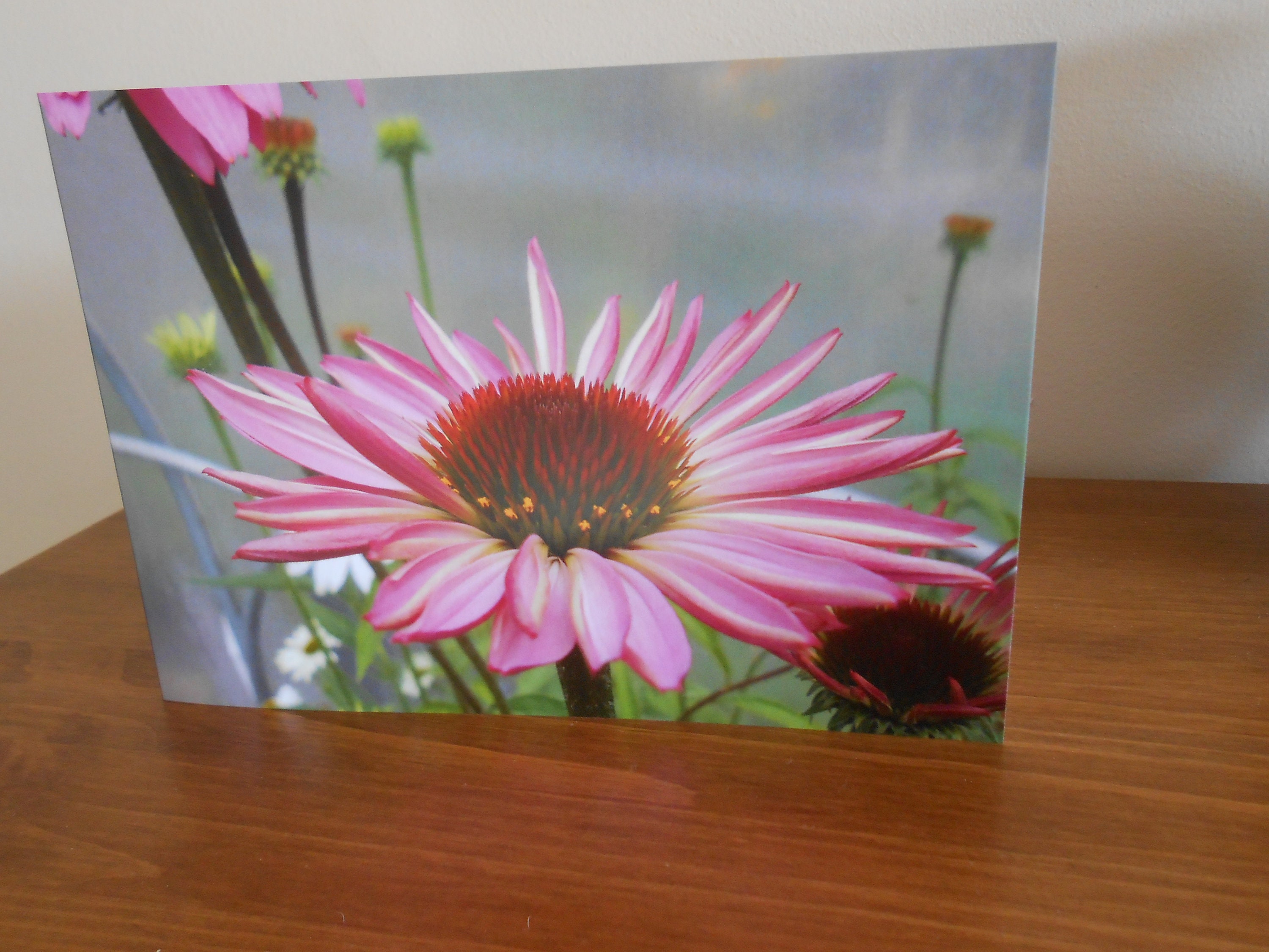 Flower Greeting Card Pink Flower Note Card Photo Greetings Etsy UK