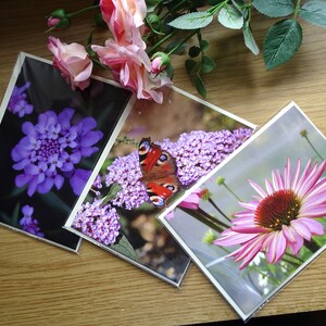 Lot de 3 cartes de voeux florales, cartes de correspondance fleurs, carte papillon et fleurs, cartes fleurs violettes, trois cartes de voeux, cartes photo