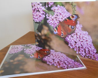 Photo Greetings Card, Butterfly and Flower Greeting Card, Butterfly Note Card, Flower Greeting Card, Blank Flower Cards, Purple Flower Card