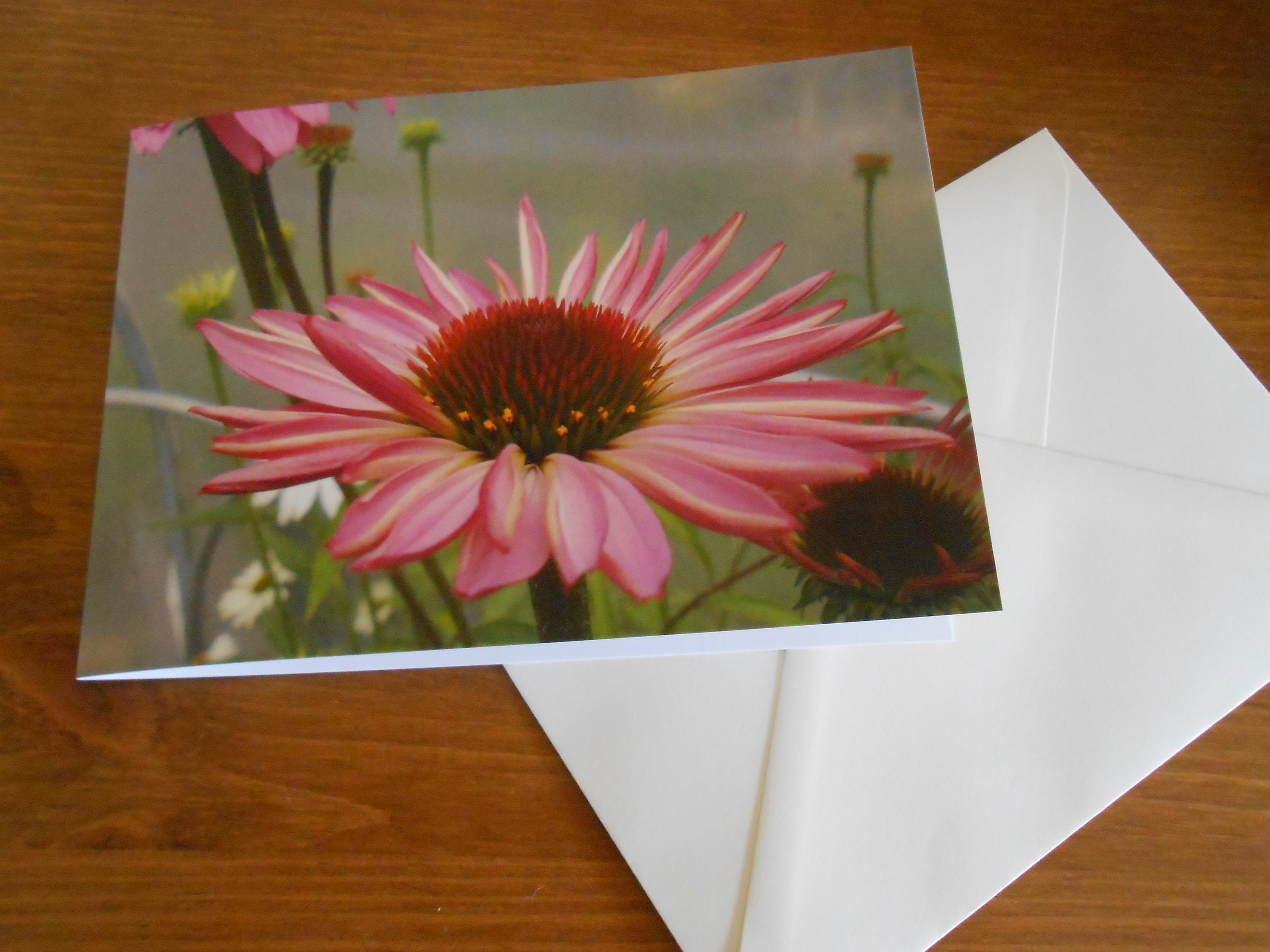 Flower Greeting Card Pink Flower Note Card Photo Greetings Etsy UK