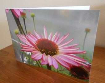 Flower Greeting Card, Pink Flower Note Card, Photo Greetings Card, Blank Greetings Card, Birthday Card, Mother's Day Card