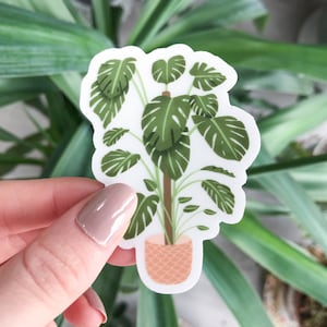 Autocollant de vinyle de Monstera, autocollant imperméable à l’eau, autocollant d’ordinateur portatif, autocollant d’intempéries, autocollant d’Hydroflask, autocollant clair, décalque de voiture, amoureux de plante