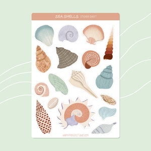 Muscheln Aufkleber Blatt, Shell-Aufkleber, Strand-Aufkleber, süße illustrierte Aufkleber Set, Journal Aufkleber, Planer Zubehör, Bujo, Natur