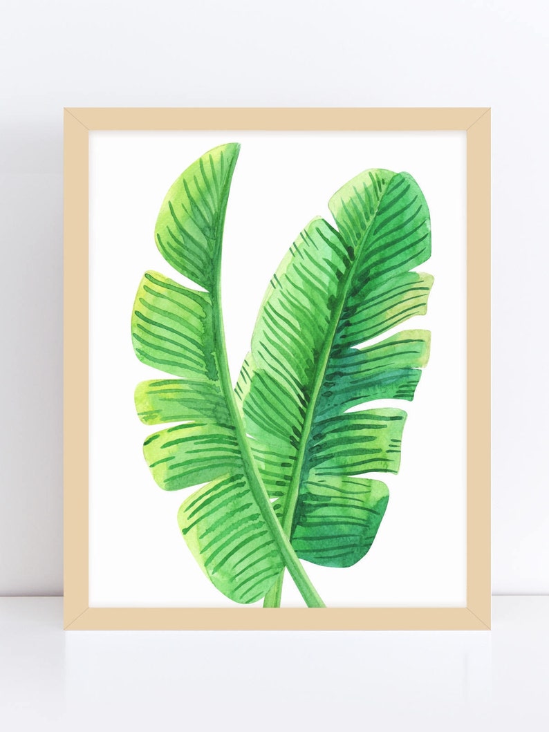 Banana Leaves Art Tropical Leaf Banana Leaf Wall Art Etsy