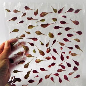 papier naturel fait main, papier texturé feuille, emballage cadeau botanique