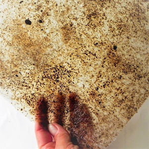 Carta fatta in casa con texture di caffè tinta in modo naturale con vero caffè, carta ecologica per gli amanti del caffè