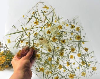 Homemade paper, wildflower handmade art paper, gift wrapping, Eco friendly