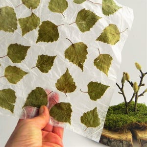 handgemaakte bladpapiervellen, uniek cadeauverpakkingsidee diy voor lentegroene berkenbladeren