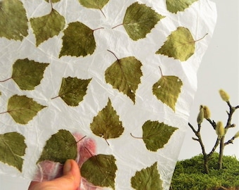 handgemachte blatt papierbögen, einzigartige geschenk verpackung idee für den frühling