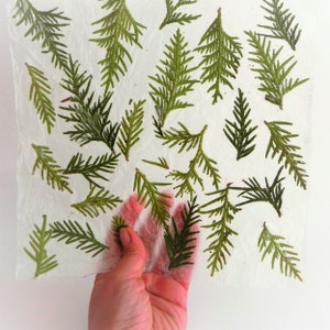 Carta verde fatta a mano, fogli di carta naturale, idea per avvolgere regali di Natale