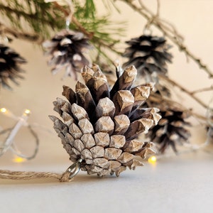 May include: A close-up of a single, light brown pine cone with a silver finish. The pine cone is hanging from a string and is surrounded by other pine cones and a branch with green needles.