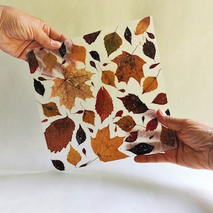 Foglie autunnali secche uniche, fogli di carta fatti a mano, artigianato, collage, fogli per diario