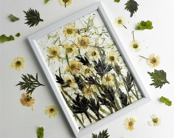 Daisy dried flower framed wall art nursery hygge home decor gift