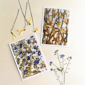 Juego de 2 tarjetas y sobres con flores de primavera, postales con flores prensadas de campanilla de invierno y nomeolvides.