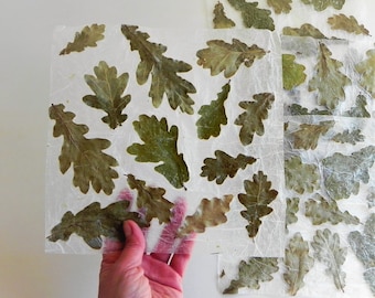 dried oak leaf handmade paper for collage, crafts, journals, scrapbook