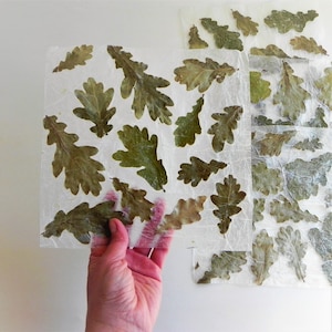 carta fatta a mano con foglie di quercia essiccate per collage, artigianato, diari, album