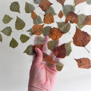 DIY craft kit learn to make paper with pressed leaves image 2