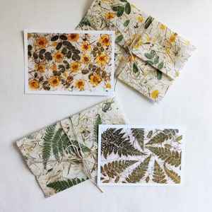 Set de tarjetas de felicitación botánicas y sobres de regalo de papel hechos a mano.