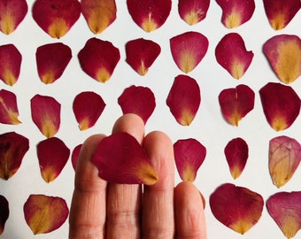 Real Rose Petals Dried Pressed Flowers 40psc