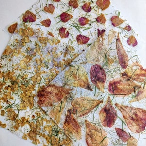 Petali di fiori pressati, carta fatta a mano, 3 fogli per regali, diario d'arte, tecniche miste, design, artigianato, creazione di biglietti